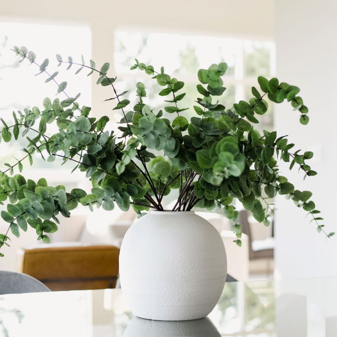 Fresh eucalyptus branches in a round white vase, sitting on a surface with natural light from nearby windows.