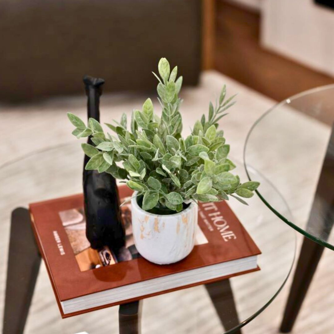 Modern living room decor featuring a small potted plant, a decorative book, and a minimalist black accent piece on a glass table.