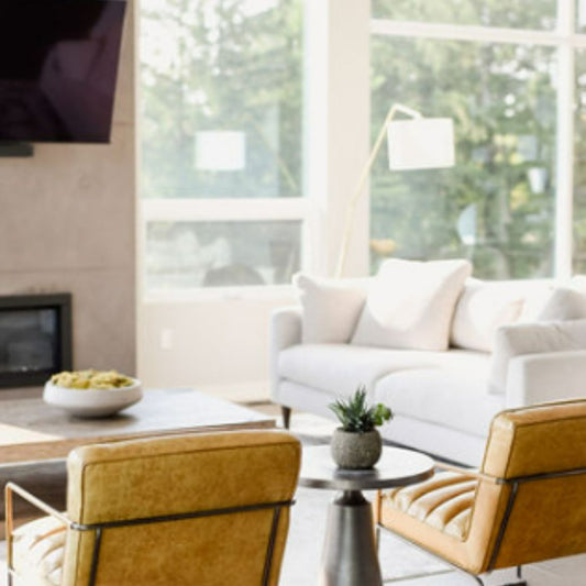 Bright modern living room with large windows, white walls, and wood floors. Features tan leather chairs, white sofa, wall-mounted TV, and fireplace. Natural light floods the space, highlighting the minimalist decor