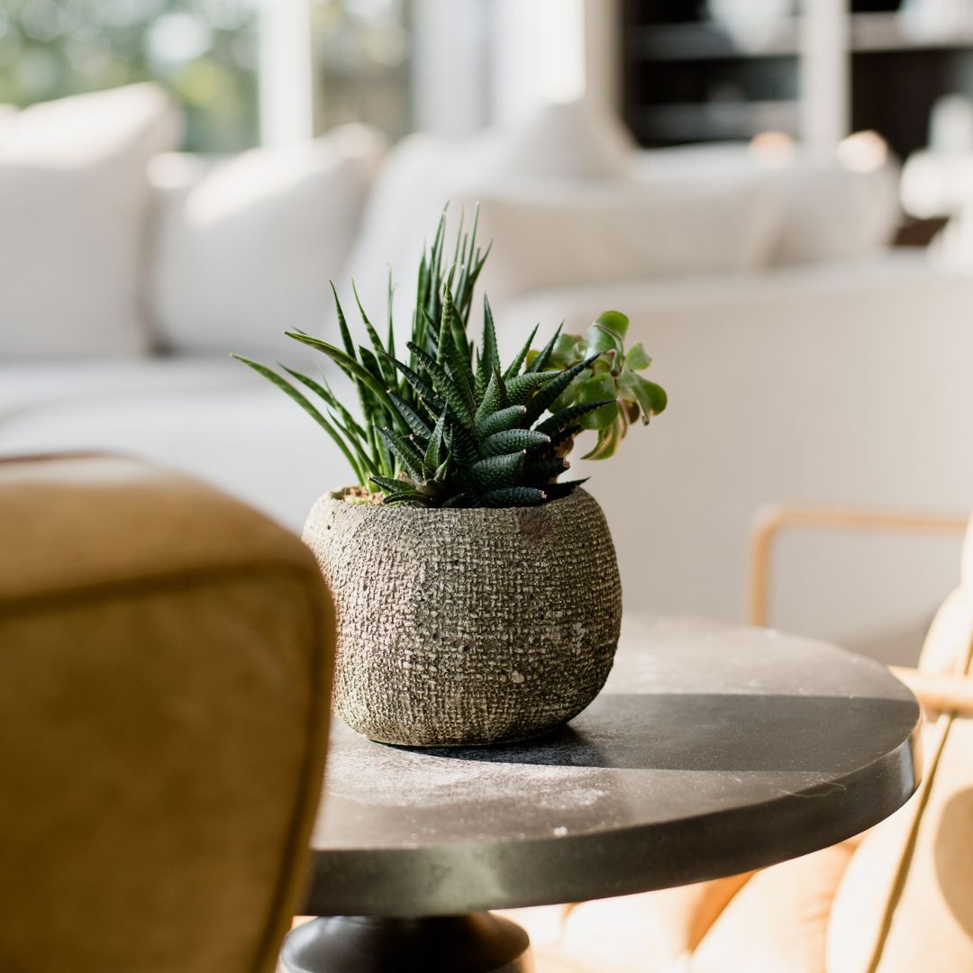 Modern penthouse living room decor featuring a textured succulent planter on a round side table. 