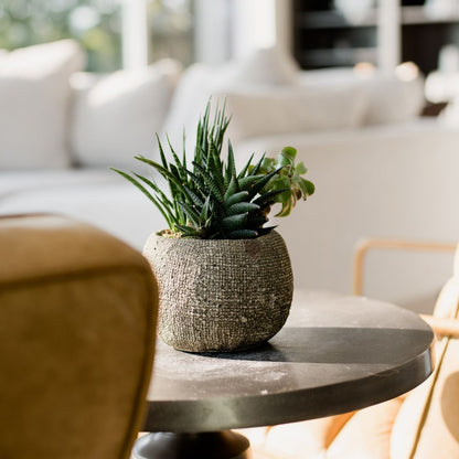 Modern penthouse living room decor featuring a textured succulent planter on a round side table. 
