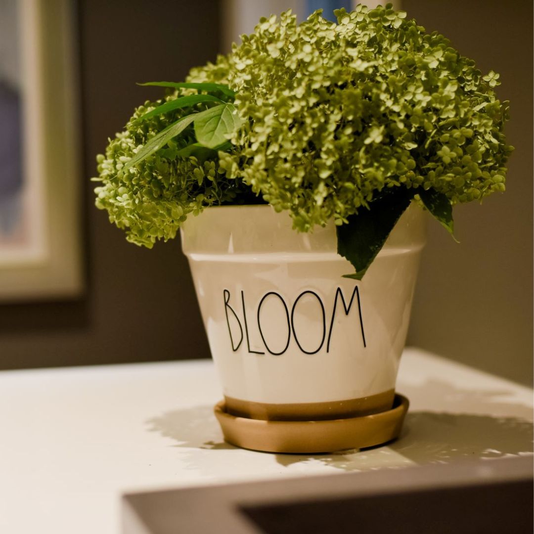 Charming white ceramic flower pot with "BLOOM" hand-lettered in black, filled with vibrant green hydrangeas. The pot sits on a light surface, adding a fresh and stylish touch to home decor. The image captures the essence of spring decorating and indoor gardening trends.